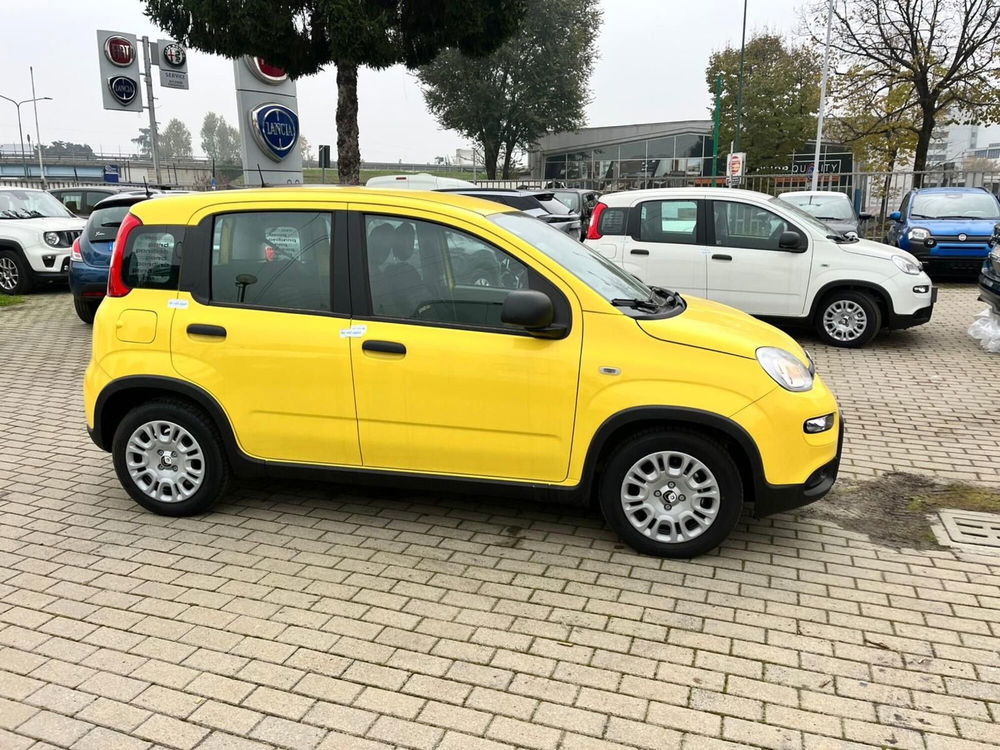 Fiat Panda Cross nuova a Milano (5)