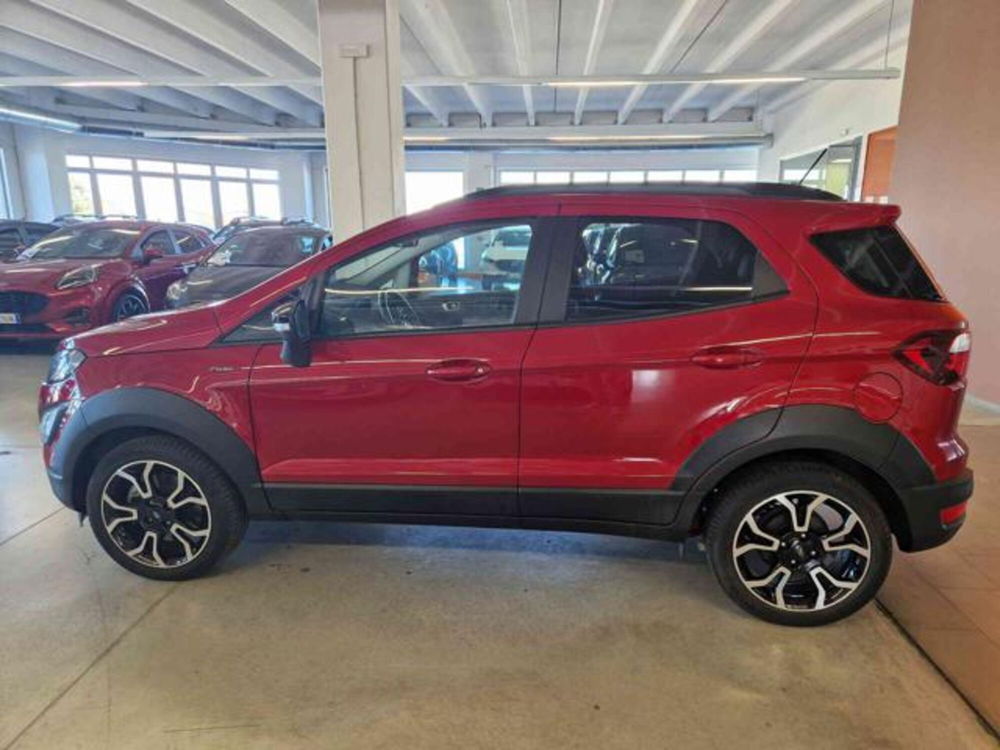 Ford EcoSport usata a Bologna (6)