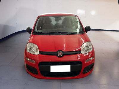 Fiat Panda 1.0 firefly hybrid s&amp;s 70cv 5p.ti del 2021 usata a Torino