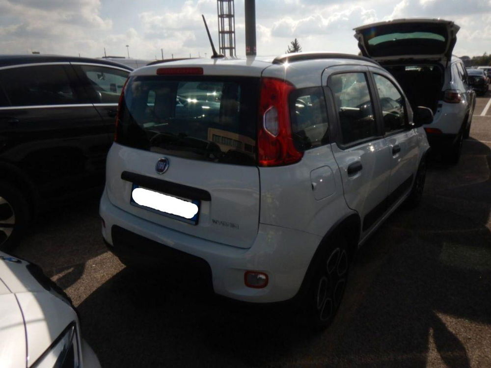 Fiat Panda usata a Lecce (2)