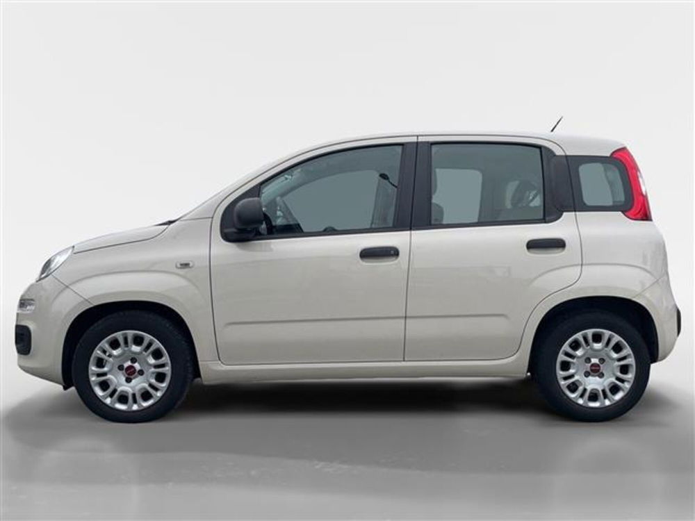 Fiat Panda usata a Torino (2)