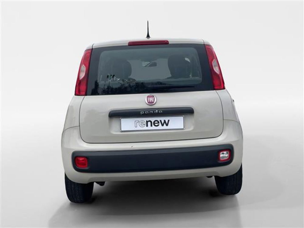 Fiat Panda usata a Torino (4)