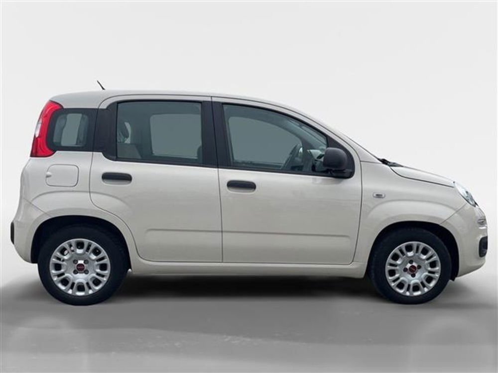 Fiat Panda usata a Torino (6)