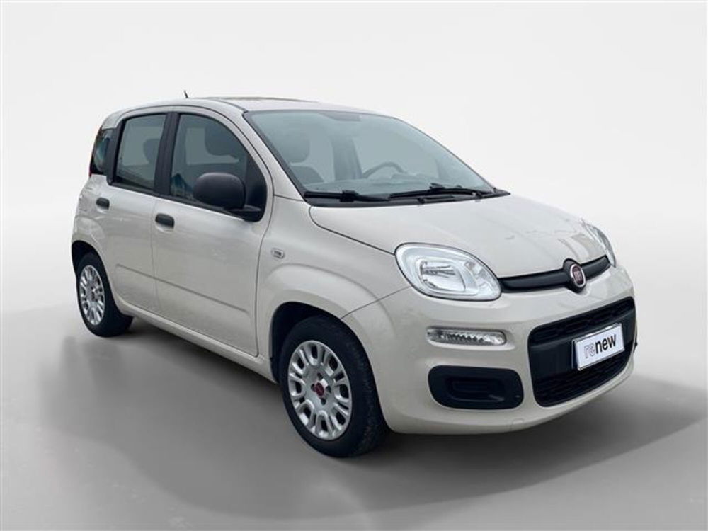 Fiat Panda usata a Torino (7)