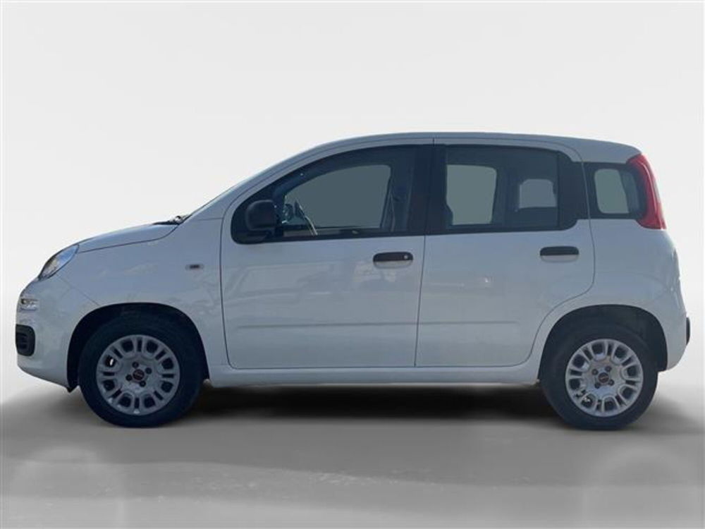 Fiat Panda usata a Torino (2)