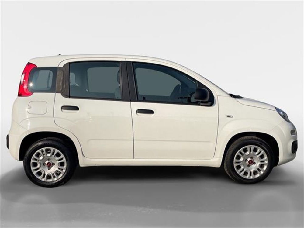 Fiat Panda usata a Torino (6)