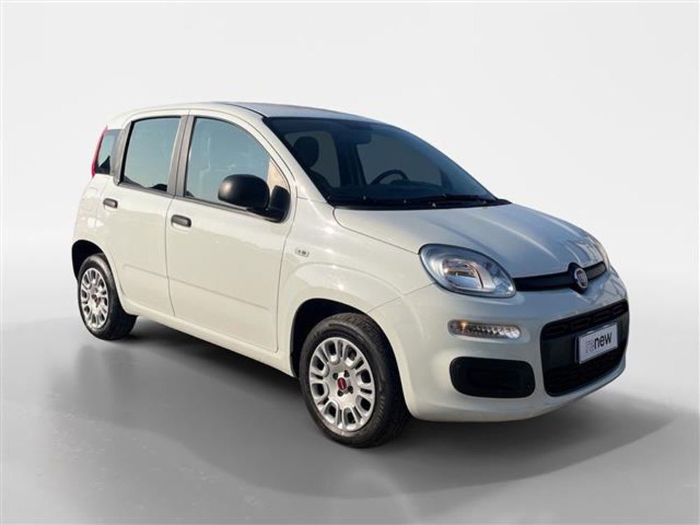 Fiat Panda usata a Torino (7)