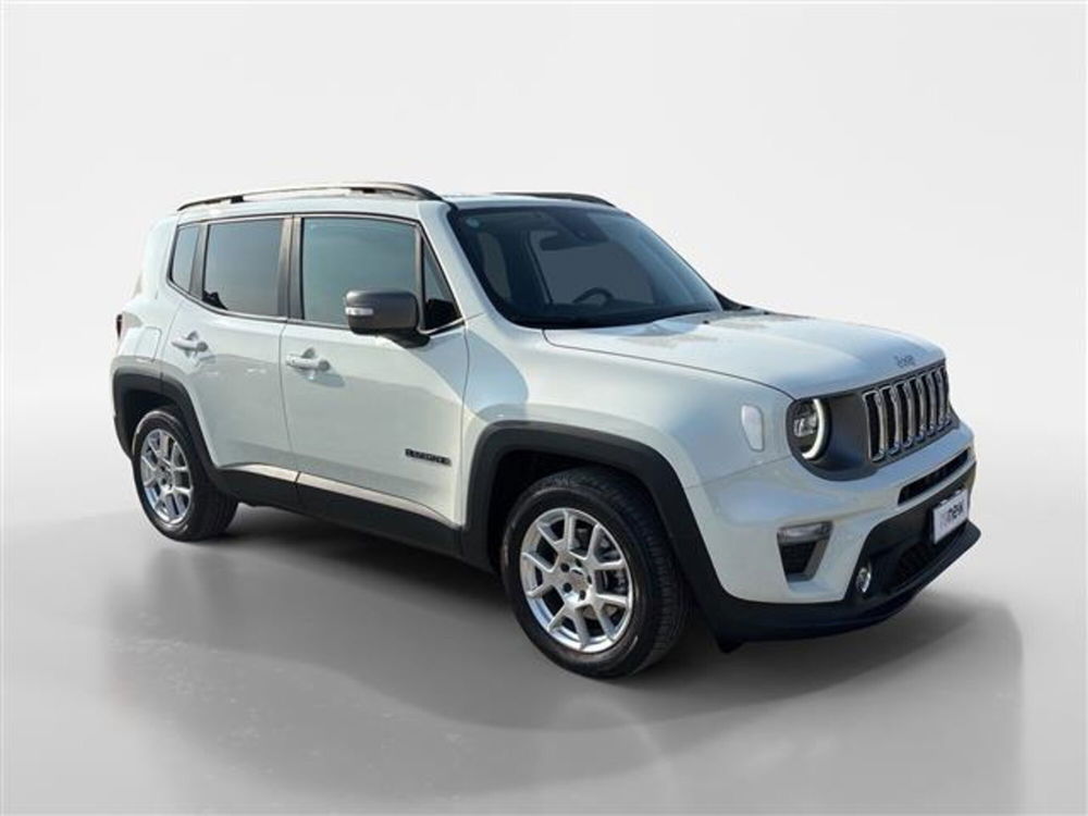 Jeep Renegade usata a Torino (7)