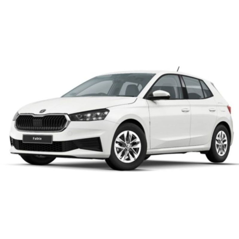 Skoda Fabia 1.0 MPI EVO 80 CV Ambition del 2021 usata a Messina