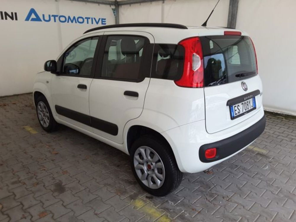 Fiat Panda usata a Firenze (11)