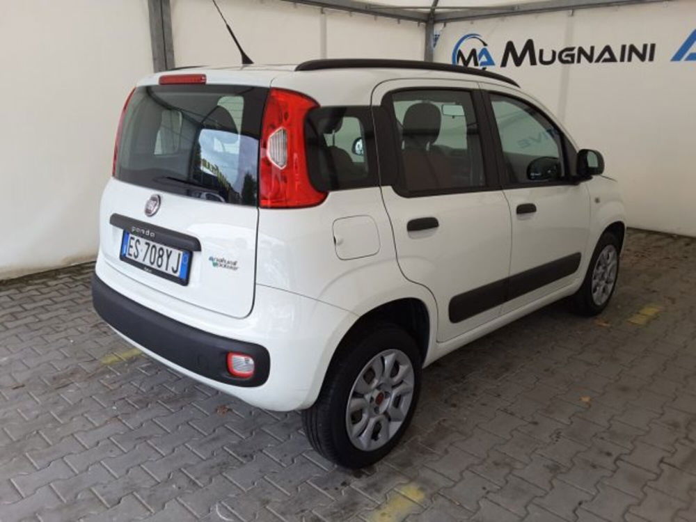 Fiat Panda usata a Firenze (13)