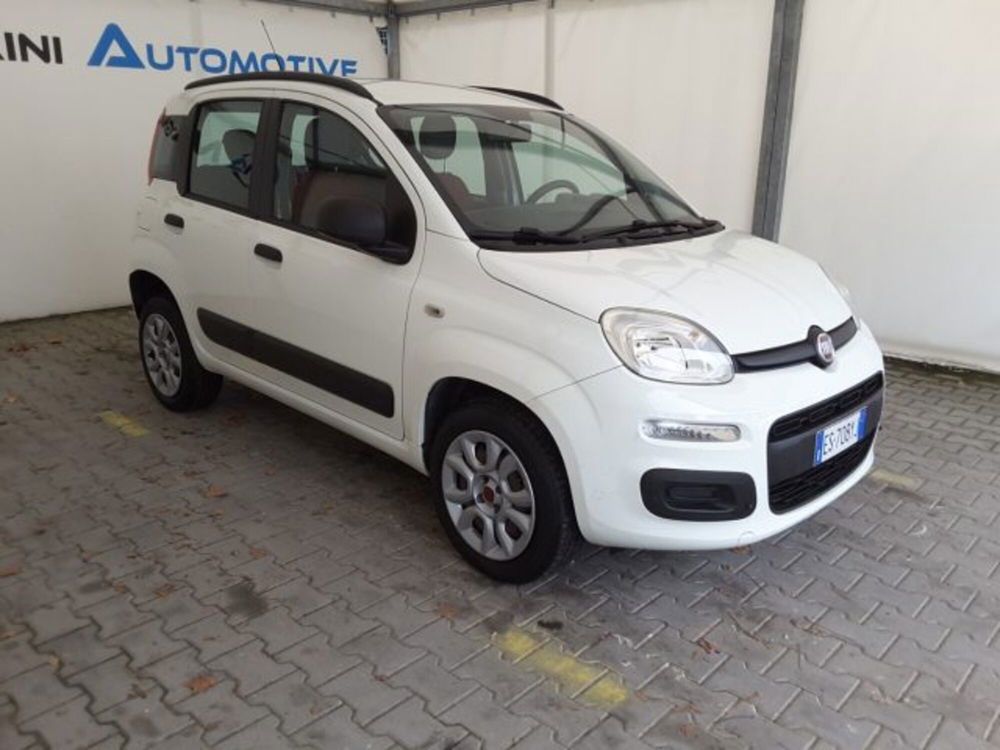 Fiat Panda usata a Firenze (3)