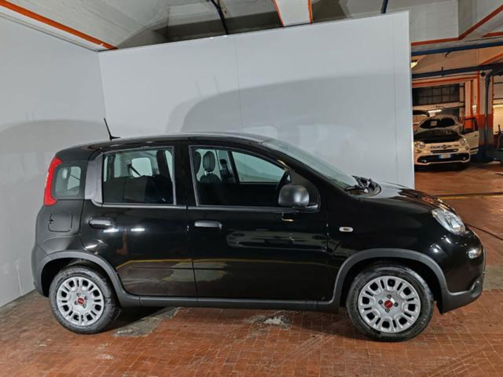 Fiat Panda nuova a Torino (7)