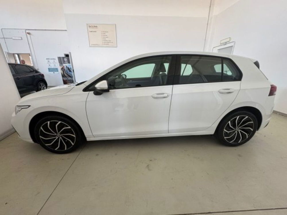 Volkswagen Golf Variant usata a Cuneo (4)