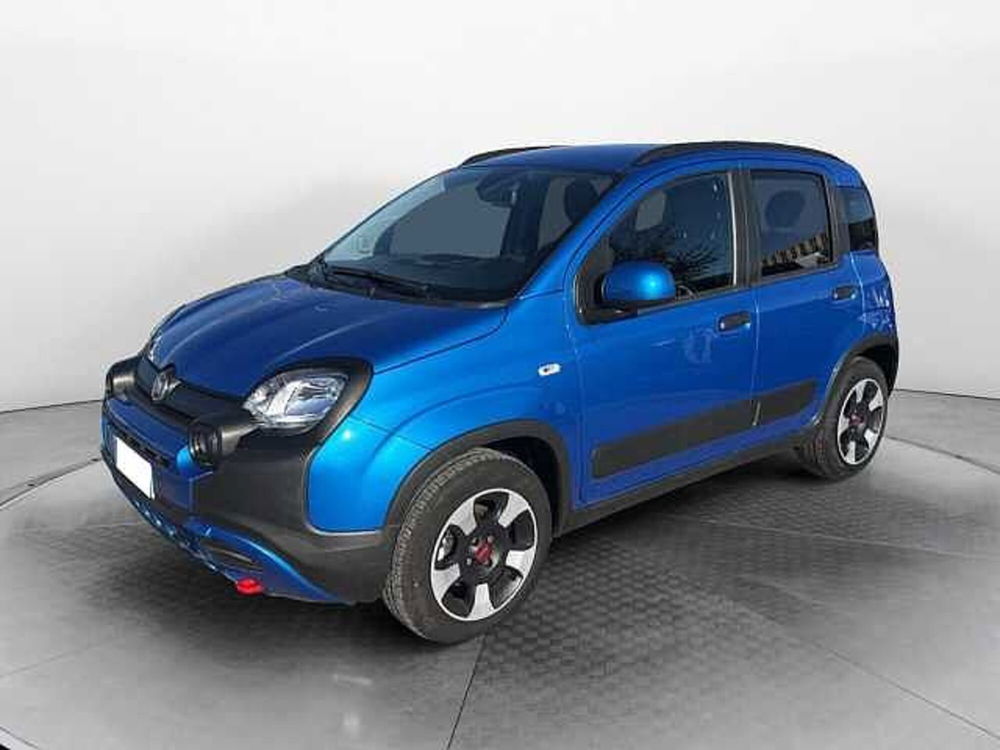 Fiat Panda Cross usata a Siena