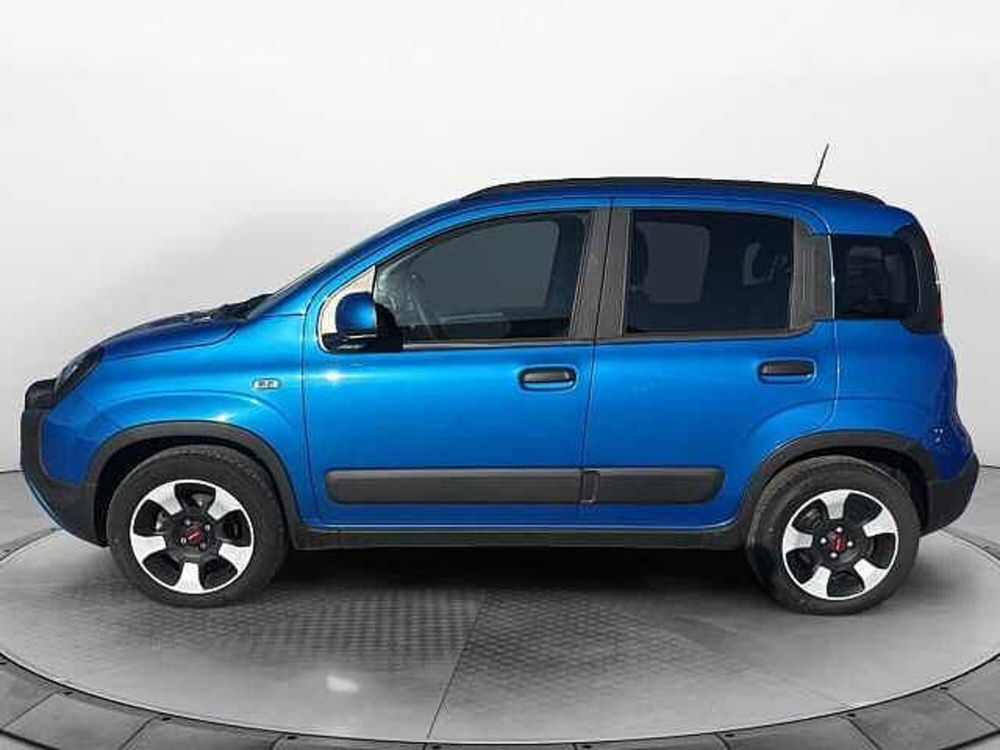 Fiat Panda Cross usata a Siena (2)