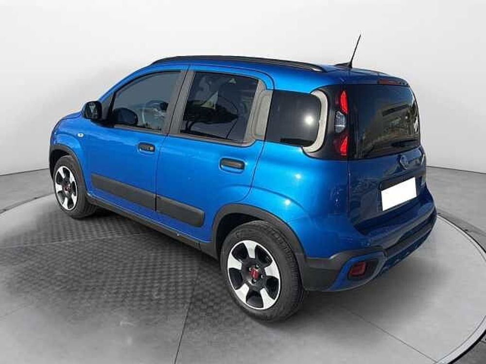 Fiat Panda Cross usata a Siena (3)