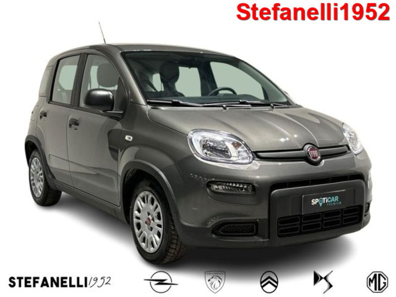 Fiat Panda 1.0 firefly hybrid s&amp;s 70cv 5p.ti del 2022 usata a Bologna