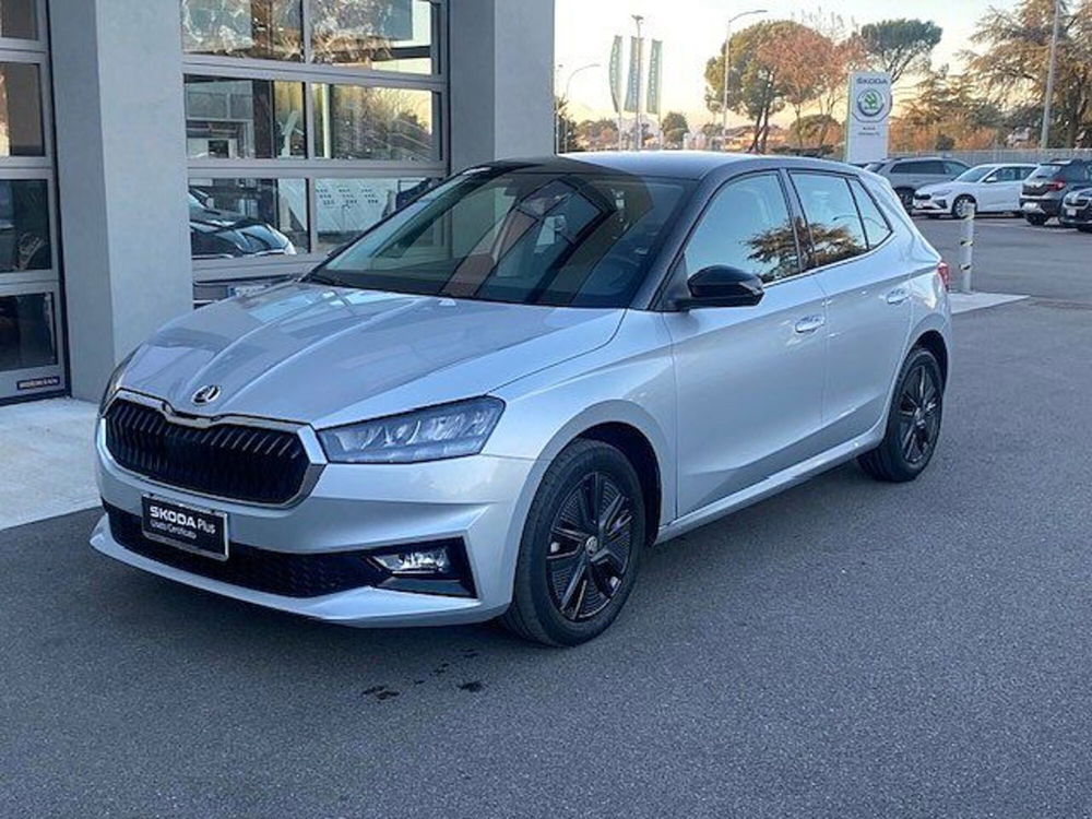 Skoda Fabia usata a Verona (2)