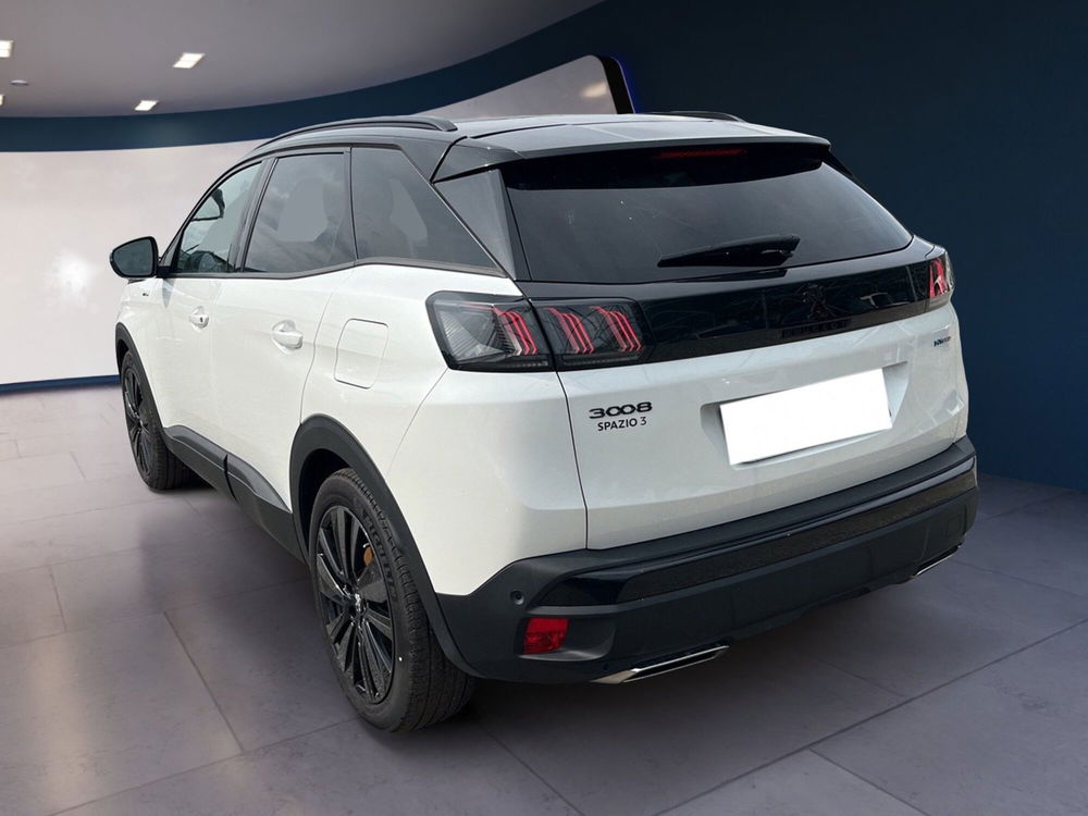 Peugeot 3008 usata a Torino (5)