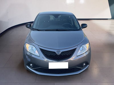 Lancia Ypsilon 1.2 69 CV 5 porte GPL Ecochic Gold  del 2021 usata a Torino