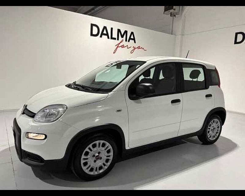 Fiat Panda 1.0 firefly hybrid s&amp;s 70cv 5p.ti del 2023 usata a Solaro