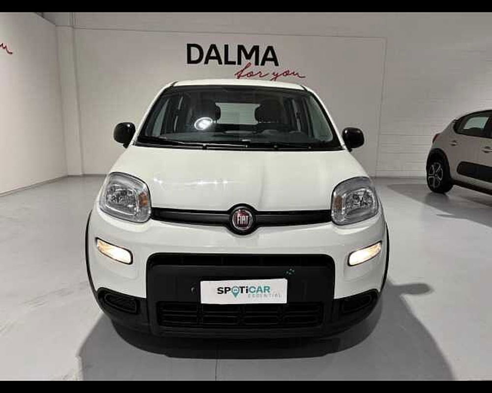 Fiat Panda usata a Milano (2)