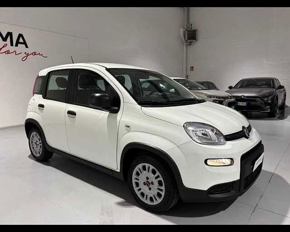 Fiat Panda usata a Milano (3)