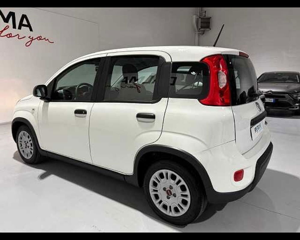 Fiat Panda usata a Milano (6)