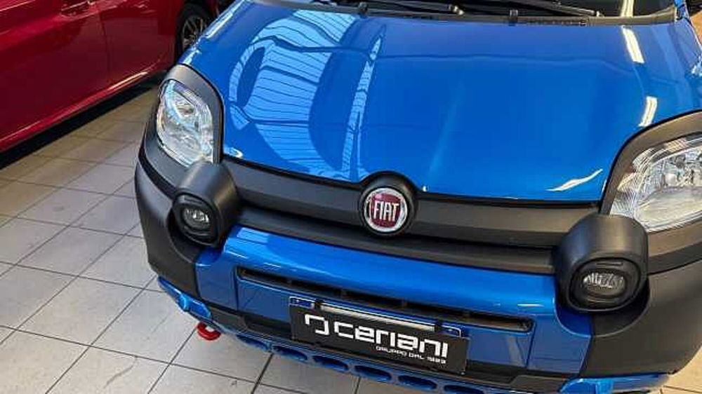 Fiat Panda Cross usata a Milano (15)