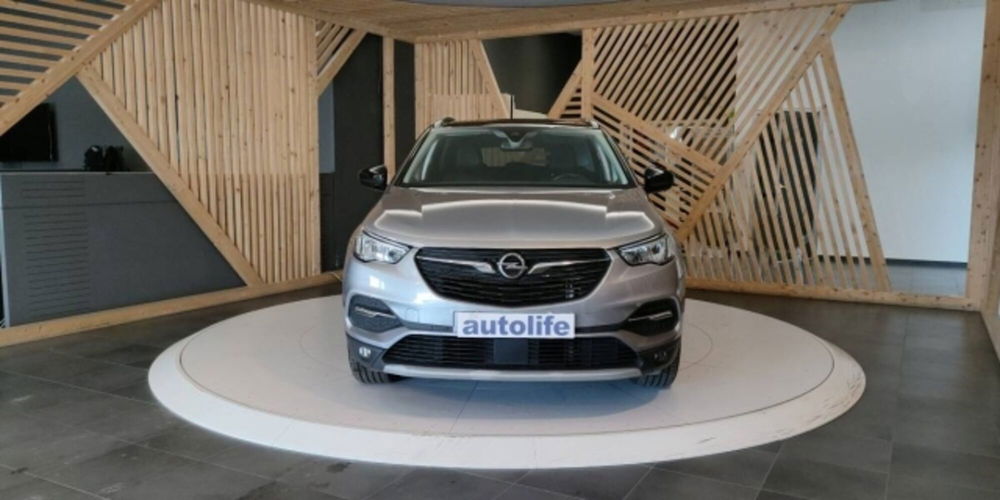 Opel Grandland X usata a Catanzaro (2)