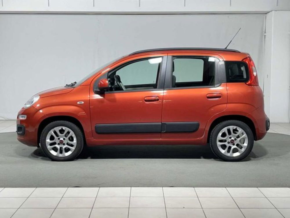 Fiat Panda usata a Sondrio (2)