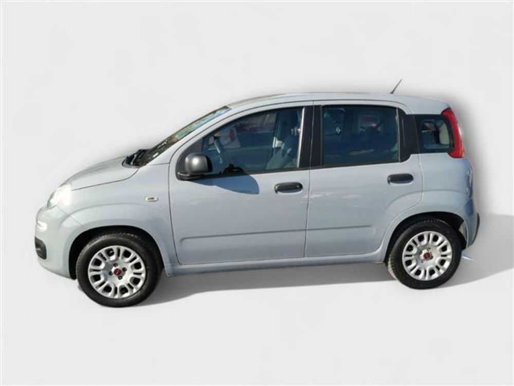 Fiat Panda usata a Livorno (2)