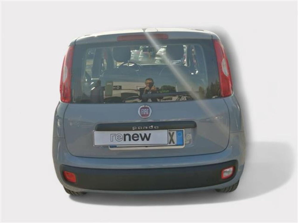 Fiat Panda usata a Livorno (4)