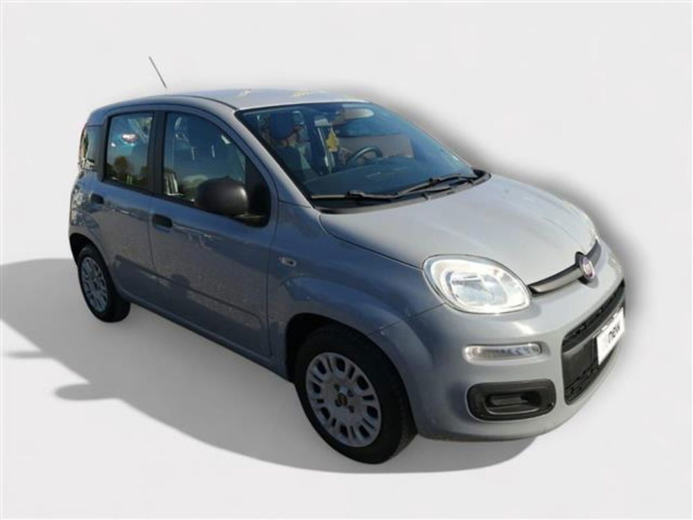 Fiat Panda usata a Livorno (7)