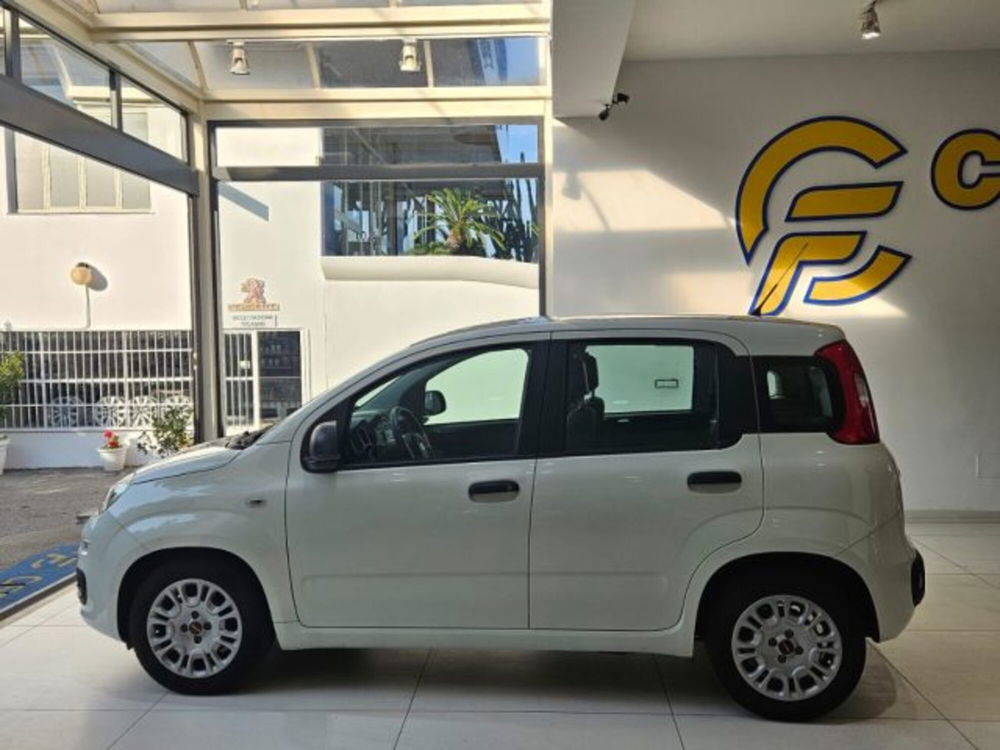 Fiat Panda usata a Napoli (3)