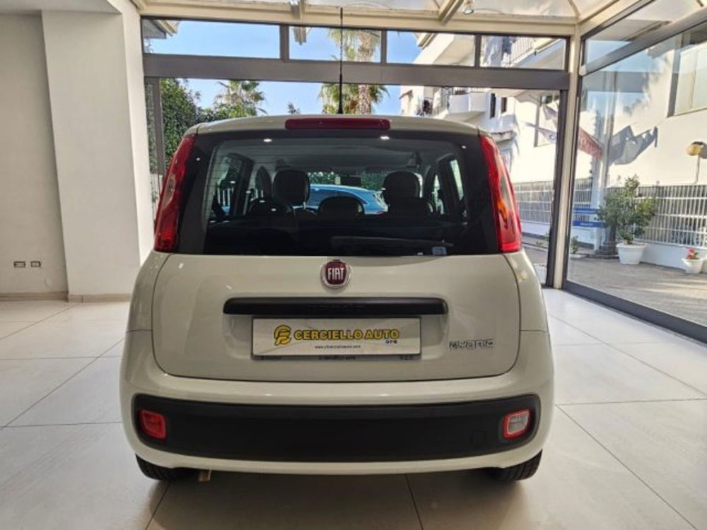 Fiat Panda usata a Napoli (4)