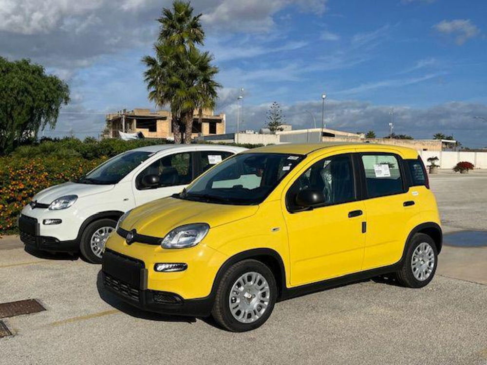 Fiat Panda nuova a Trapani