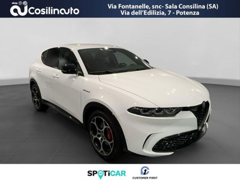 Alfa Romeo Tonale usata a Salerno (7)