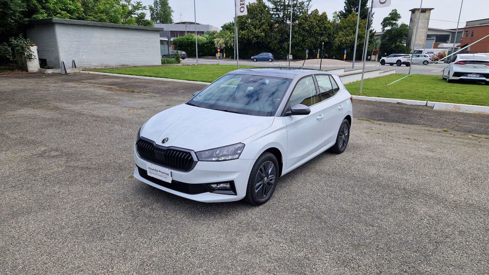 Skoda Fabia usata a Vercelli