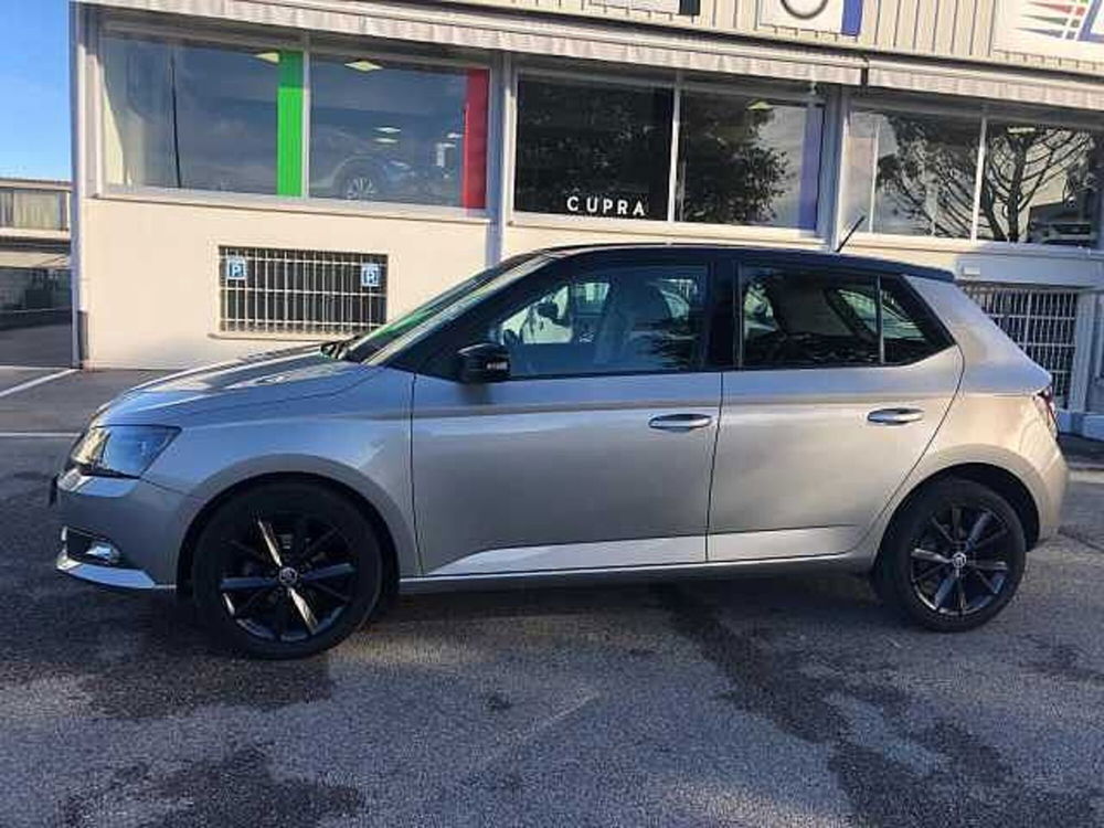 Skoda Fabia usata a Ravenna (3)