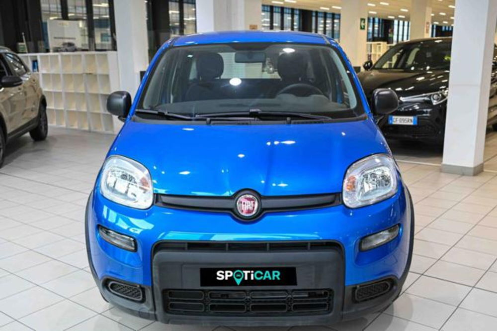 Fiat Panda nuova a Torino (2)