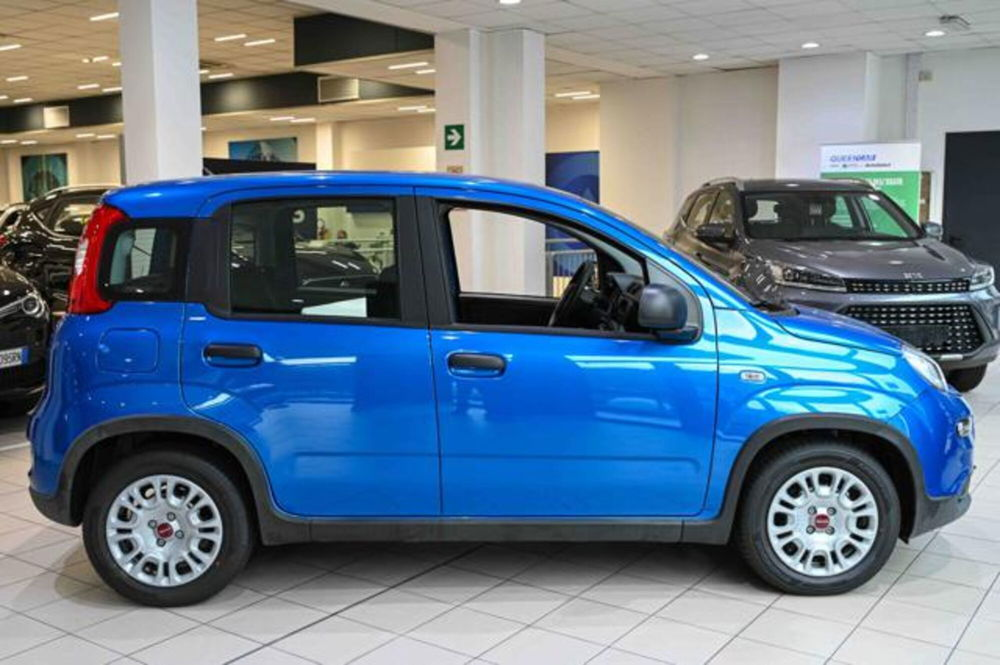 Fiat Panda nuova a Torino (3)