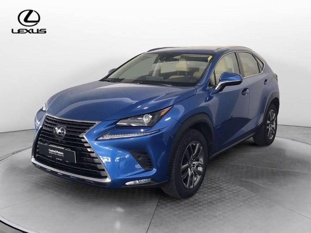 Lexus NX usata a Torino