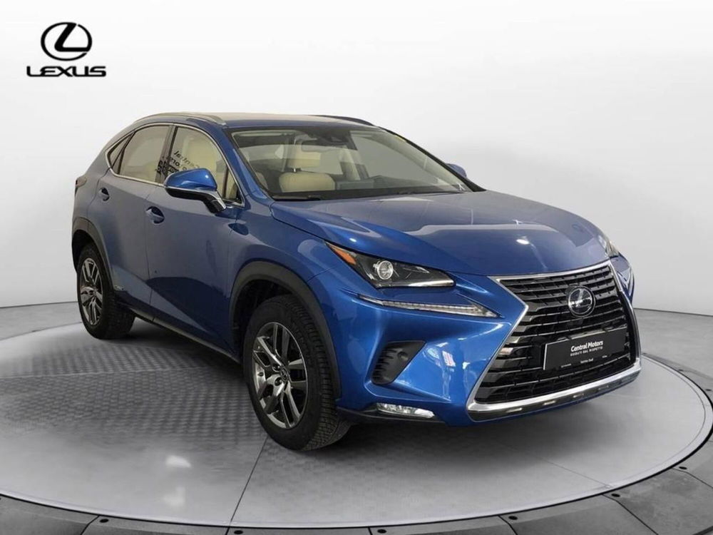 Lexus NX usata a Torino (3)