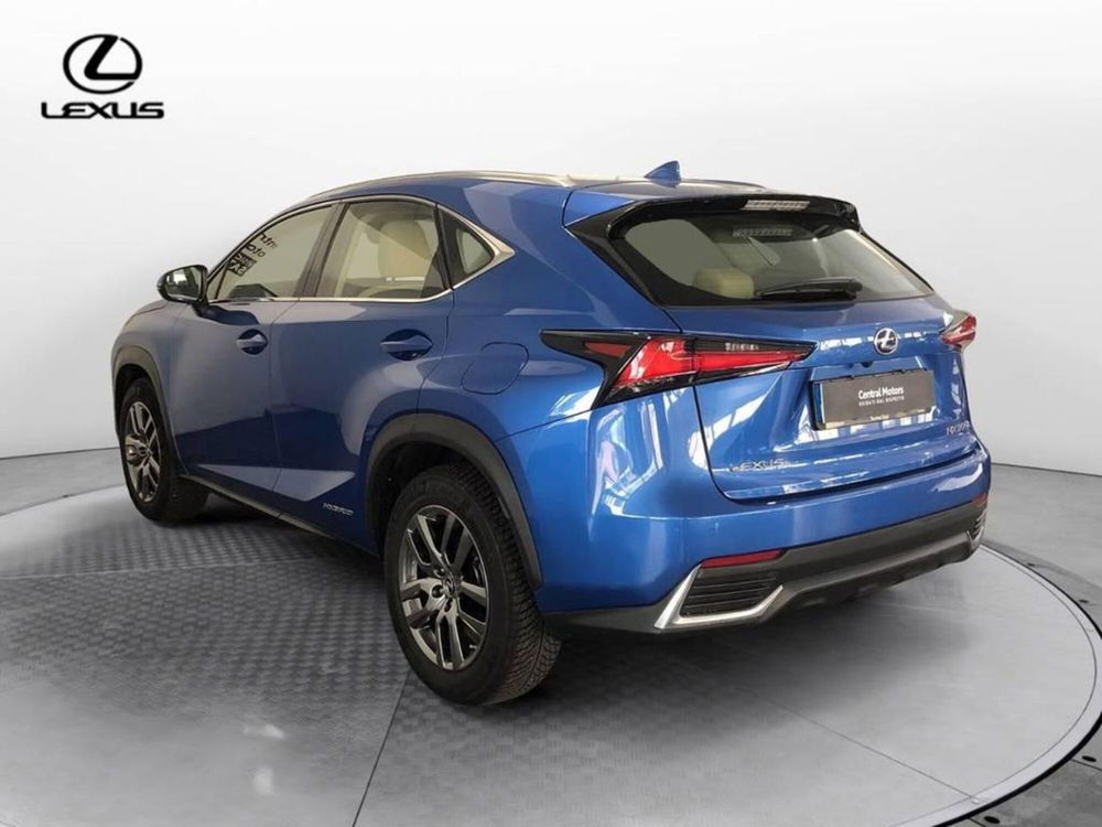 Lexus NX usata a Torino (4)