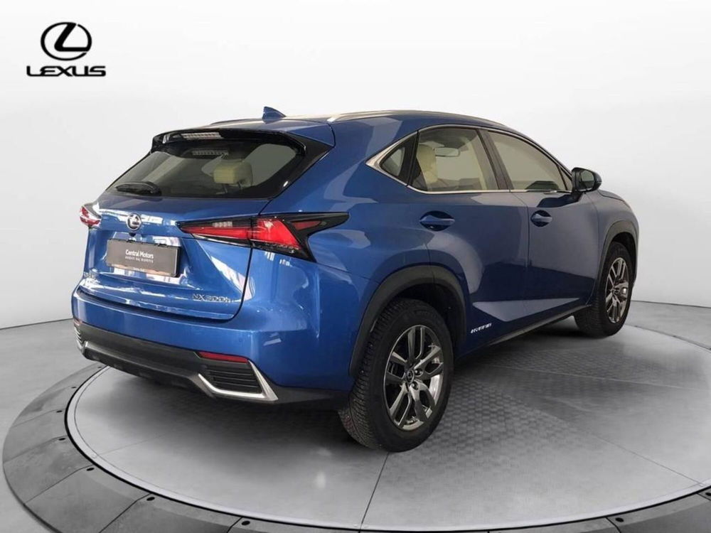 Lexus NX usata a Torino (6)