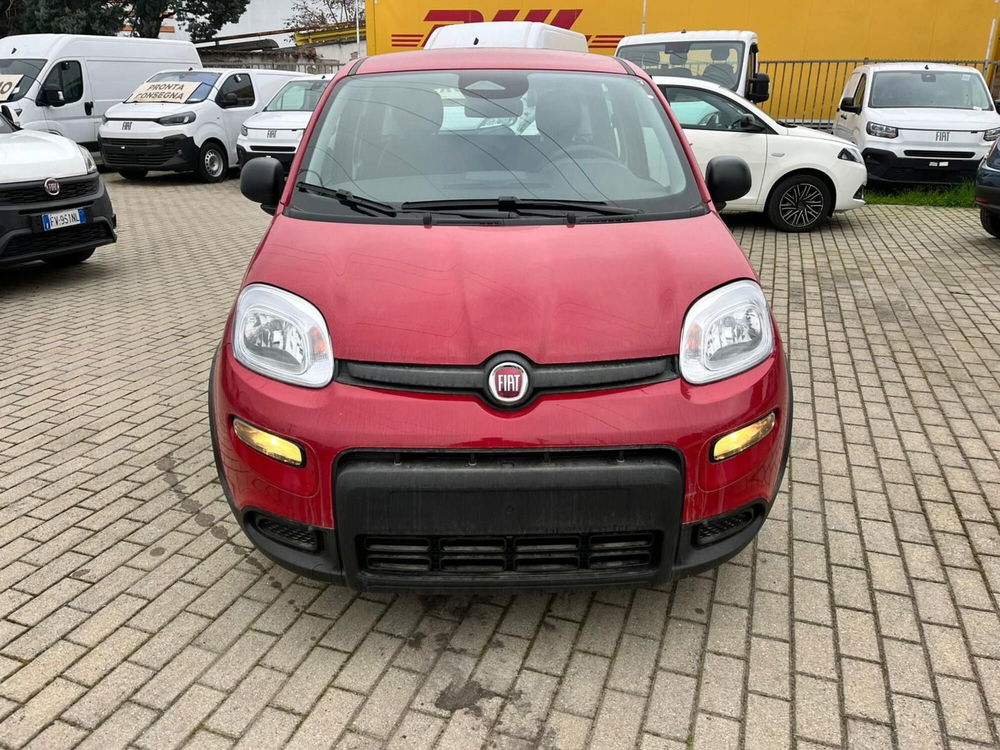 Fiat Panda Cross nuova a Milano (2)