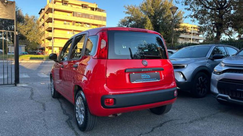 Fiat Panda usata a Roma (4)