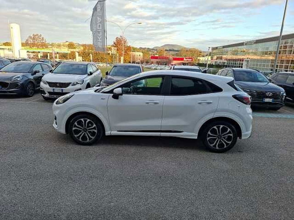 Ford Puma usata a Ancona (2)